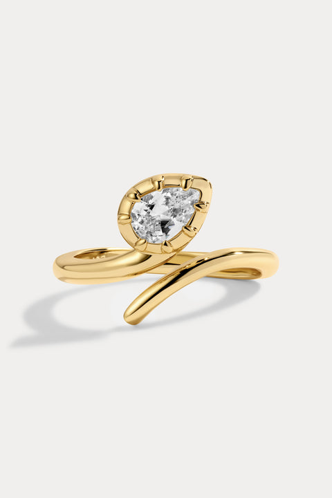Drew Ring