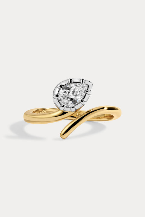 Drew Ring